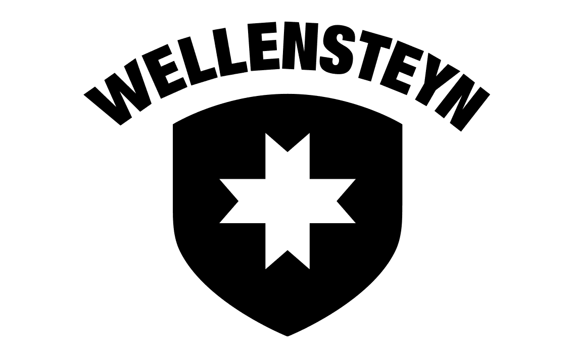 Wellensteyn_rechteck.png